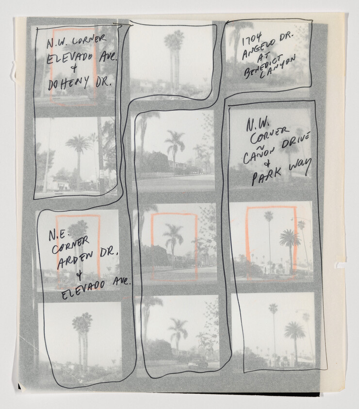 Contact sheet of small palm tree photographs with handwritten location notes and boxes around frames.