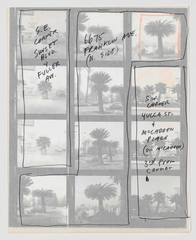 Contact sheet of palm tree photos with handwritten location notes including 6675 Franklin Ave.