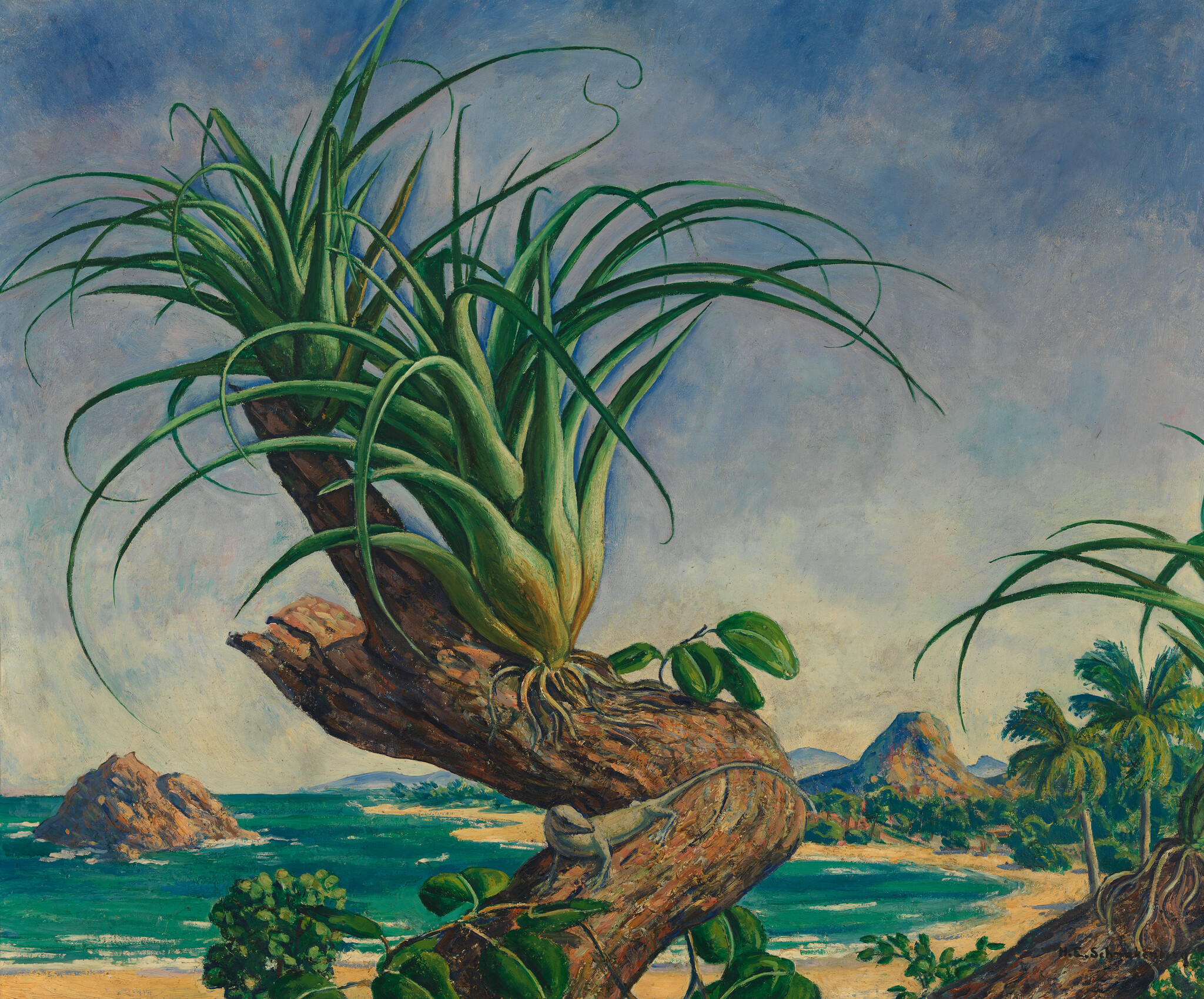 A large pandanus plant grows on a twisted tree branch above a tropical beach and sea.