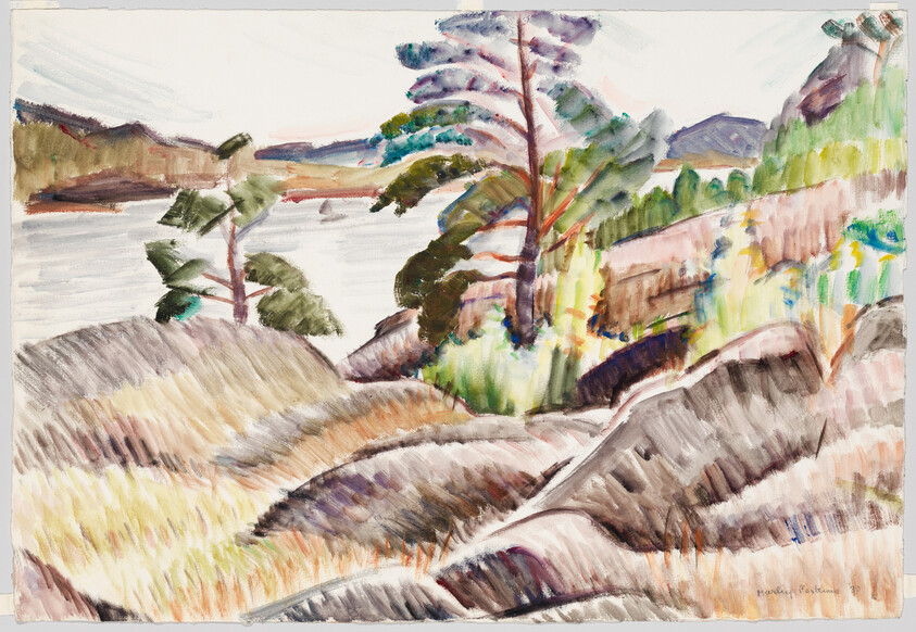 Rocky shoreline with trees and grasses overlooking a calm bay and distant hills.