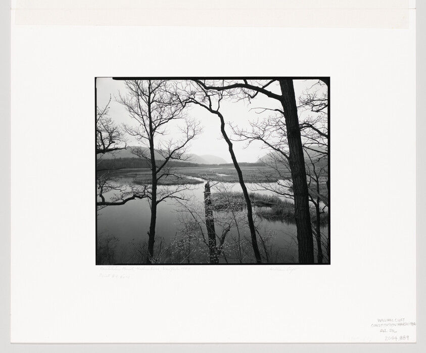 Bare tree branches frame a calm river winding through marshes toward distant hills.
