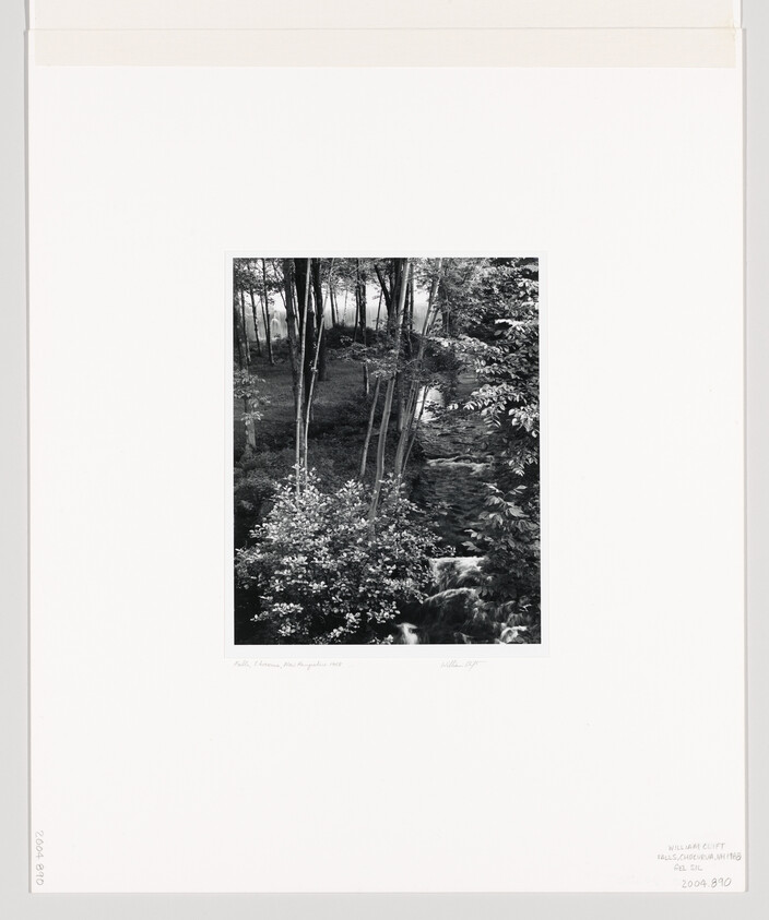 Black-and-white forest scene showing thin trees and a small cascading stream framed on white mat.