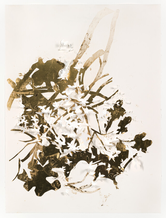 A cluster of white blossoms and dark leaves arranged in a layered botanical collage on pale background.