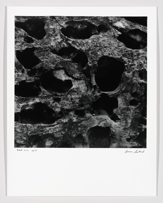 Weathered rock face with numerous rounded cavities and rough textured surfaces in black and white.