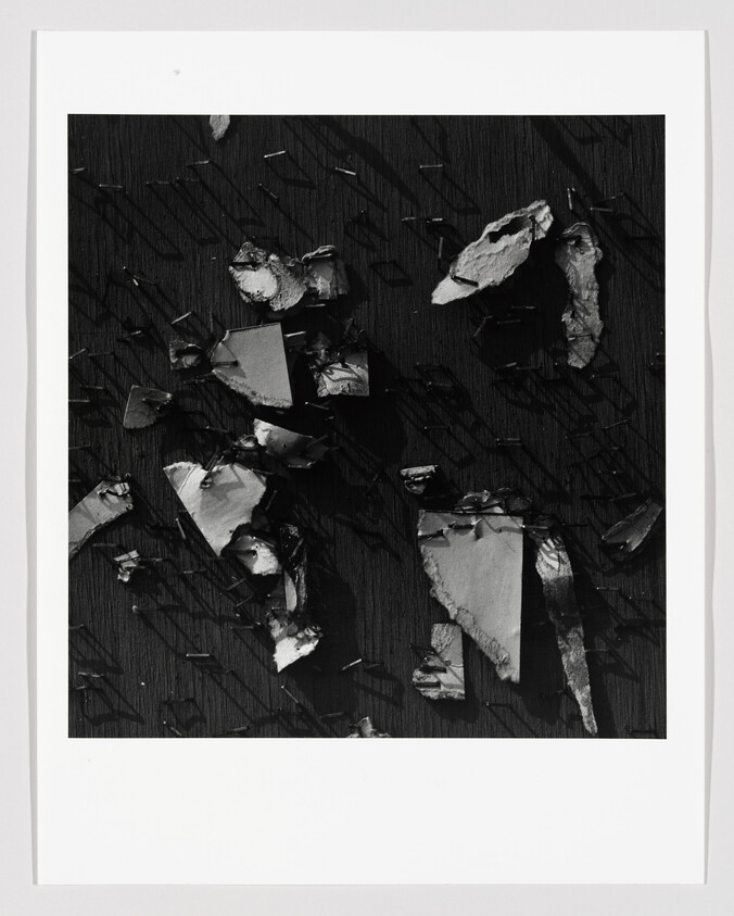 Chunks of torn paint and paper pinned to a dark board, casting long diagonal shadows.