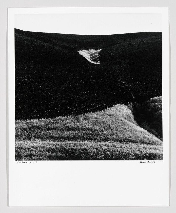 Rolling dark hills with a bright patch of grass and a small sunlit gully.