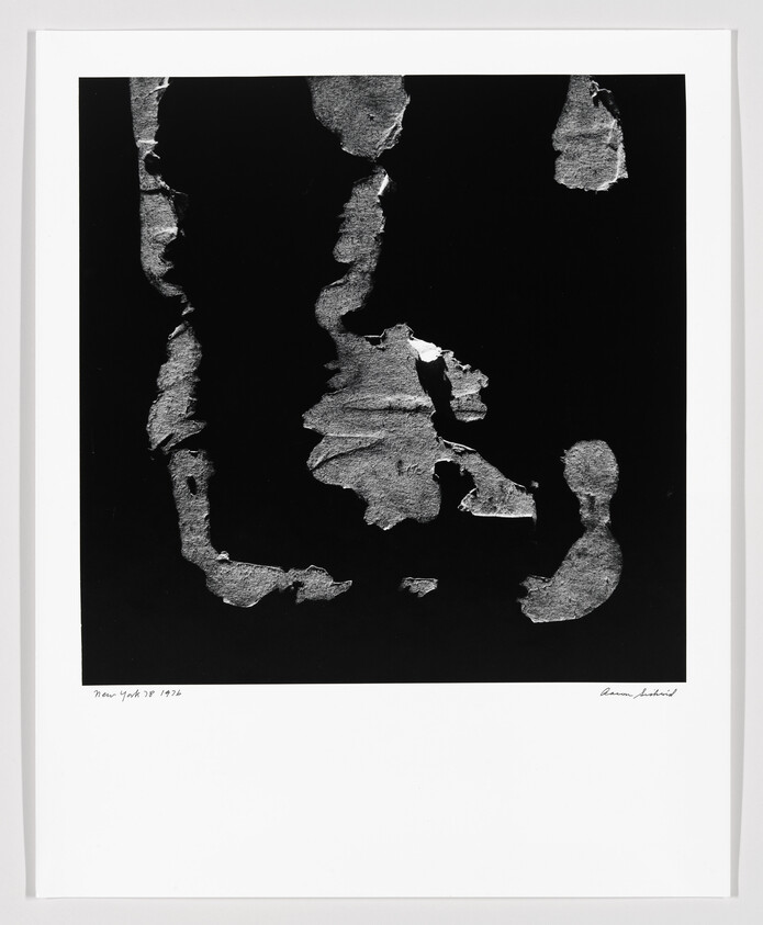 Abstract torn paper shapes arranged on a black background within a white framed border.