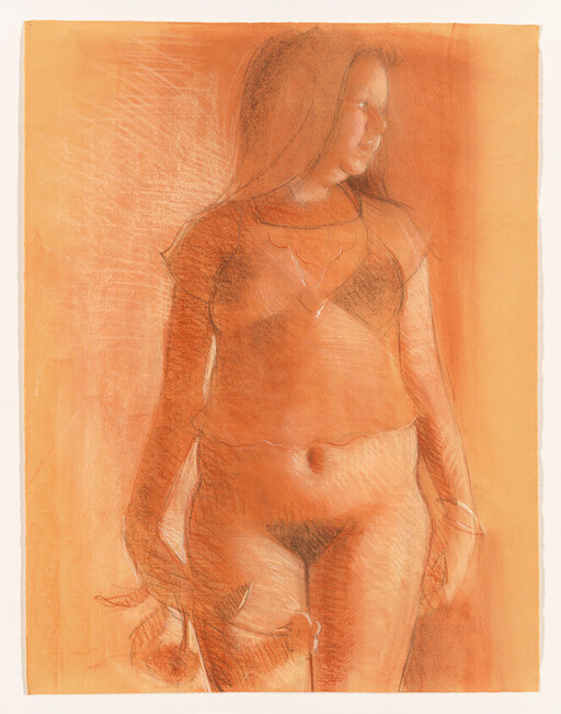 A standing woman in a sheer top and underwear looks right while holding an object.
