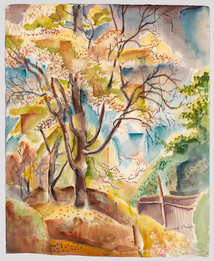 A large tree with bare branches stands among colorful autumn foliage and a small wooden fence.