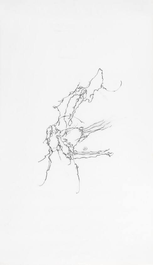 Delicate tangled black ink lines form an abstract, branching shape on a white background.