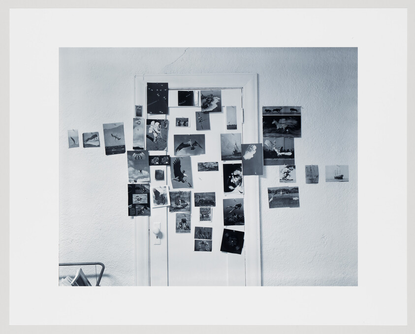 A white door covered with many small photos and postcards arranged across the door and wall.