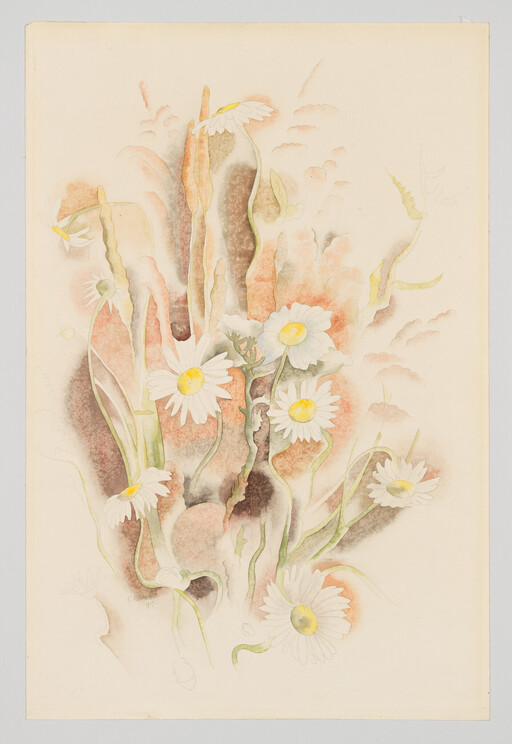 Delicate white daisies with yellow centers float among soft pink and green watercolor shapes.