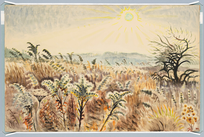 Sunlit meadow with tall grasses, wildflowers, and a lone leafless tree under a bright sun.