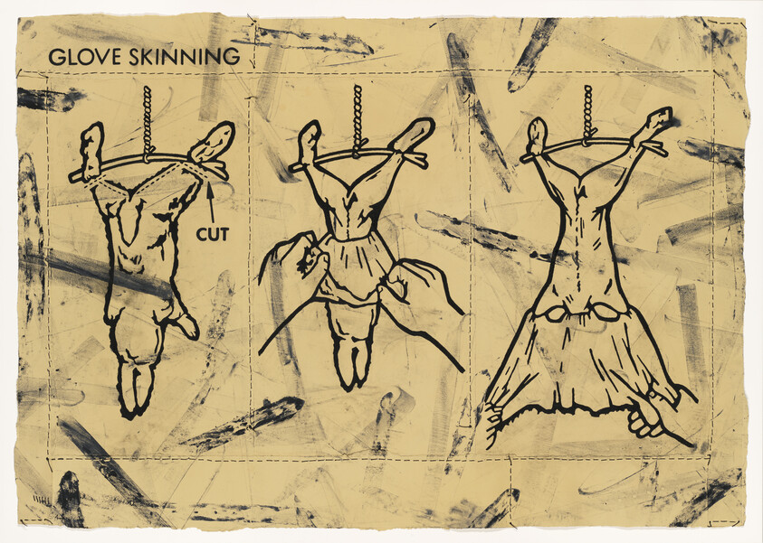 Diagrams show a suspended carcass being cut and skinned step by step for glove skinning.