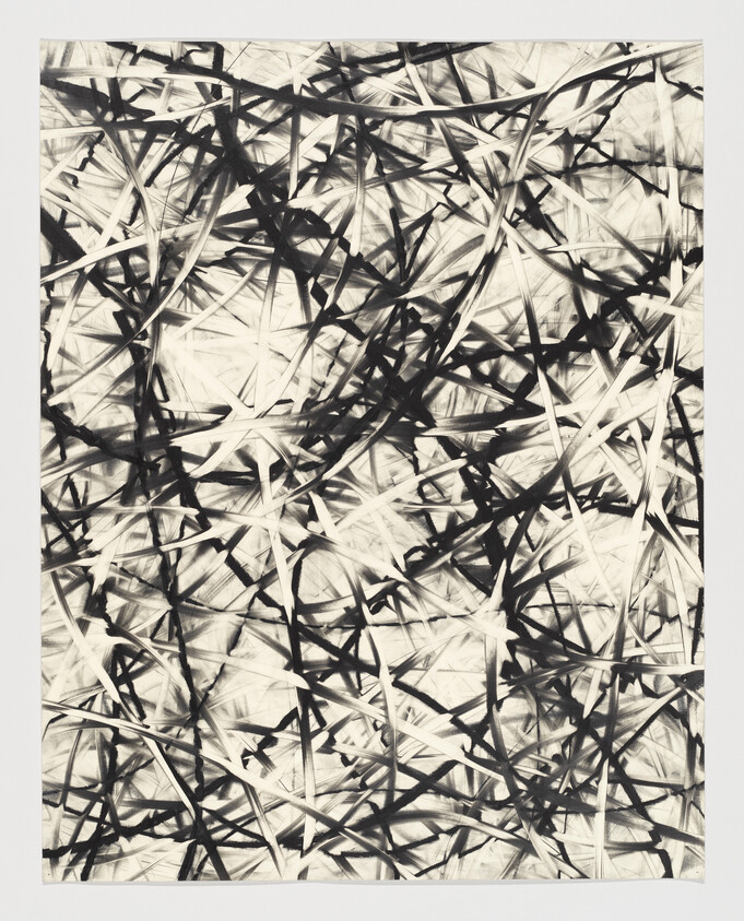 Abstract artwork with overlapping black and white lines creating a chaotic, crisscross pattern.