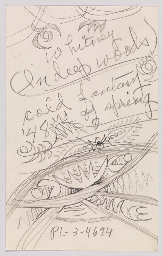 Pencil sketch of abstract organic shapes and swirling handwriting on paper.