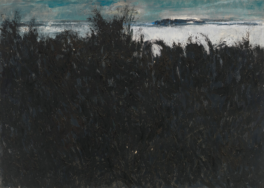 Thick dark coastal shrubs fill the foreground with a pale sea and cloudy sky visible beyond.