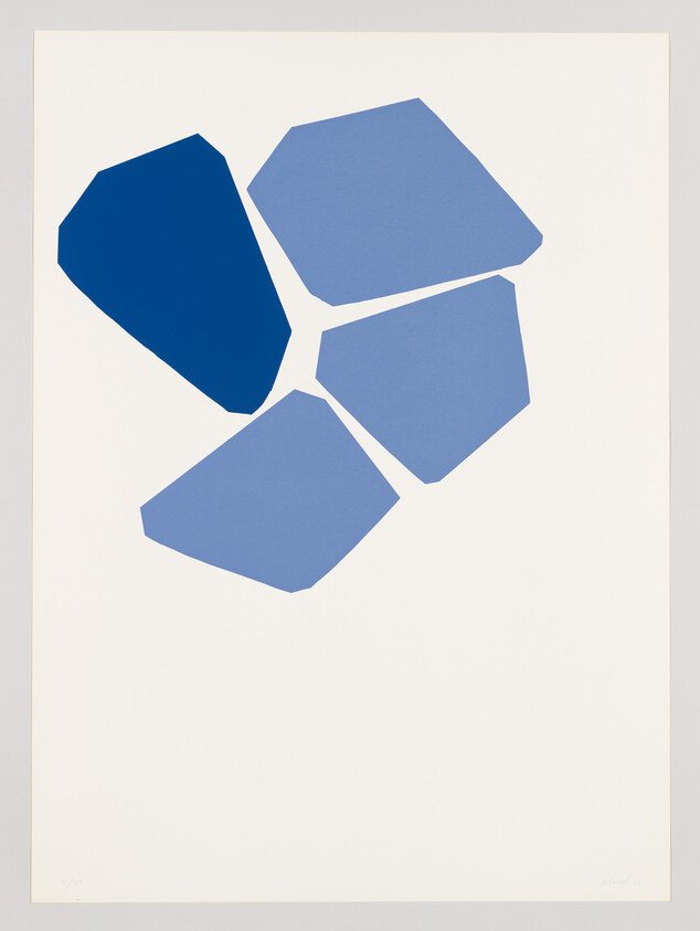 Five irregular blue polygon shapes clustered near the top on a white background.