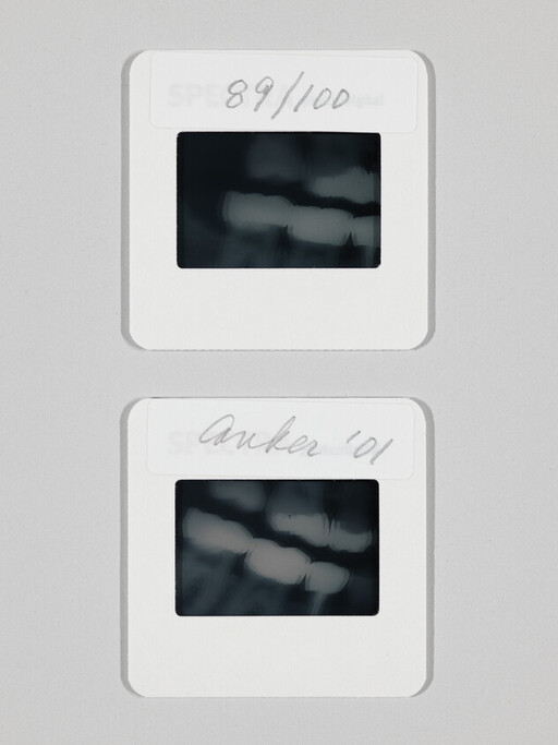 Two small photographic slides stacked vertically, each showing a dark abstract image and handwritten labels '89/100' and 'Anker '01'.