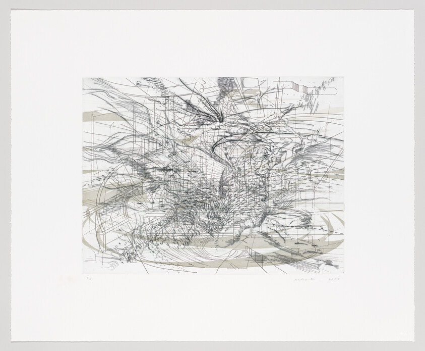 Complex swirling network of fine black and gray lines forming an abstract, chaotic central mass.