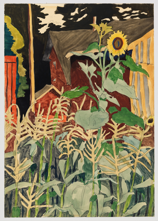 A sunflower among a row of plants in front of a brown house