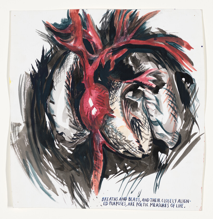 A painted anatomical heart with lungs and a handwritten line reading breaths and beats, poetic measures of life.