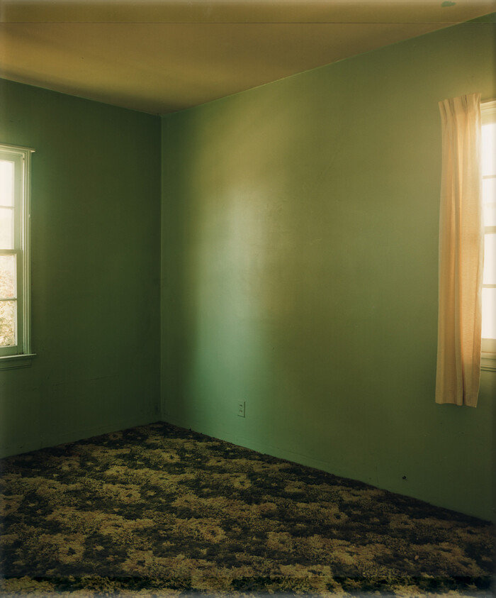 Empty room with green walls, mottled brown shag carpet, two windows, and a beige curtain.