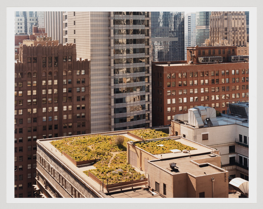 A green rooftop garden sits atop a low city building surrounded by taller office towers.
