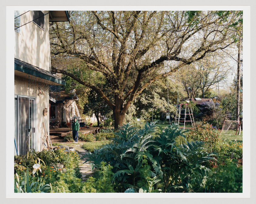A person stands on a path by a house in a lush backyard garden under a large tree.