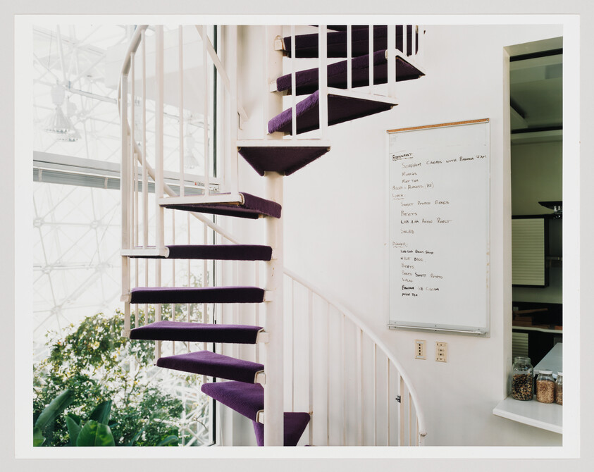 A white spiral staircase with purple carpeted treads ascends by a bright indoor garden window.