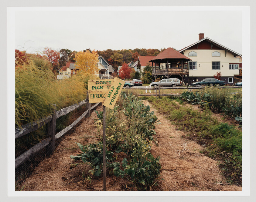 A small community garden bed with a handwritten "Don't pick broccoli" sign near leafy plants.