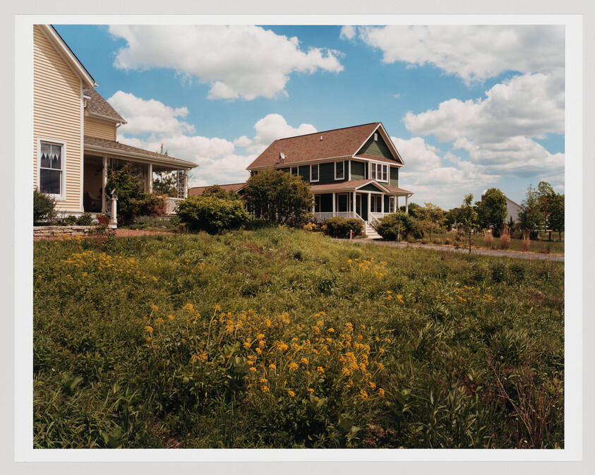 A green two-story house with a porch sits behind a meadow of yellow wildflowers under blue sky.