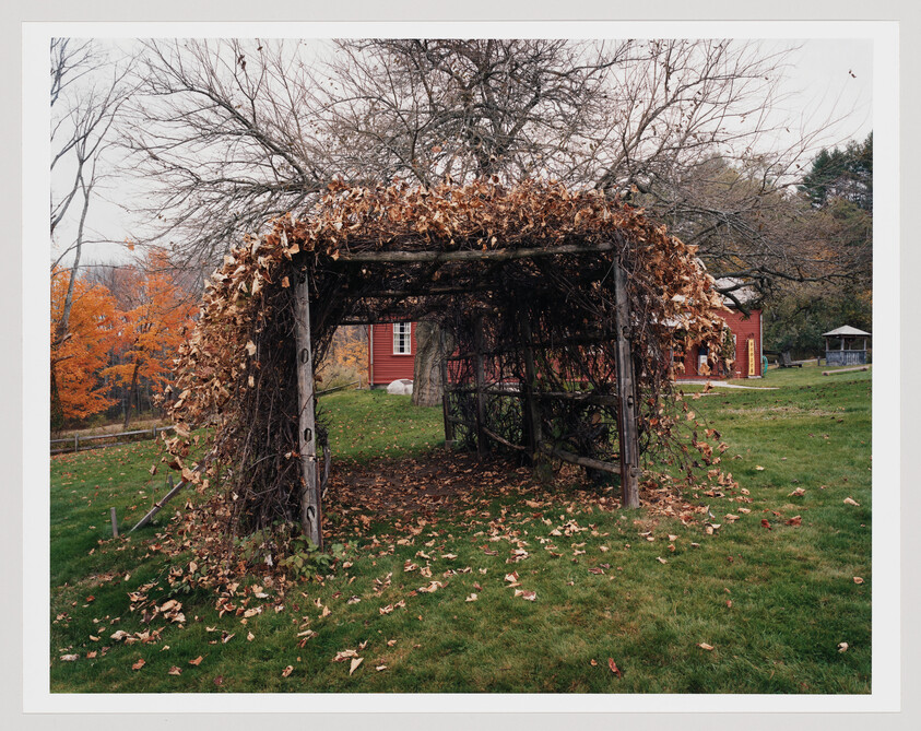 A wooden pergola covered in dried vines and fallen leaves stands on a grassy yard near a red house.