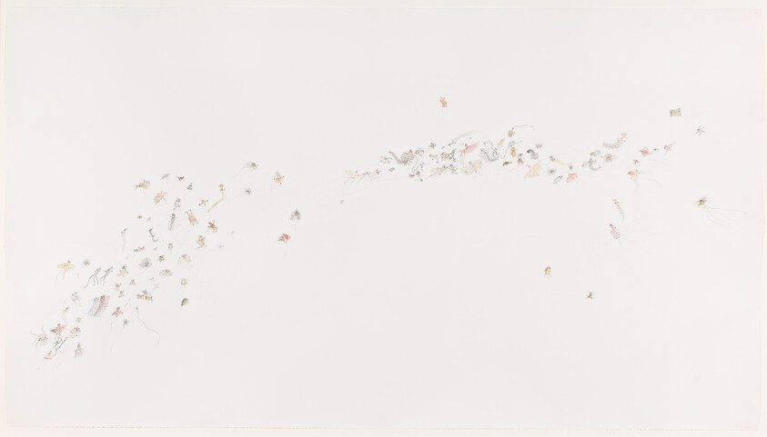 Delicate tiny colored sketches and leaf-like shapes scattered across a large white sheet.
