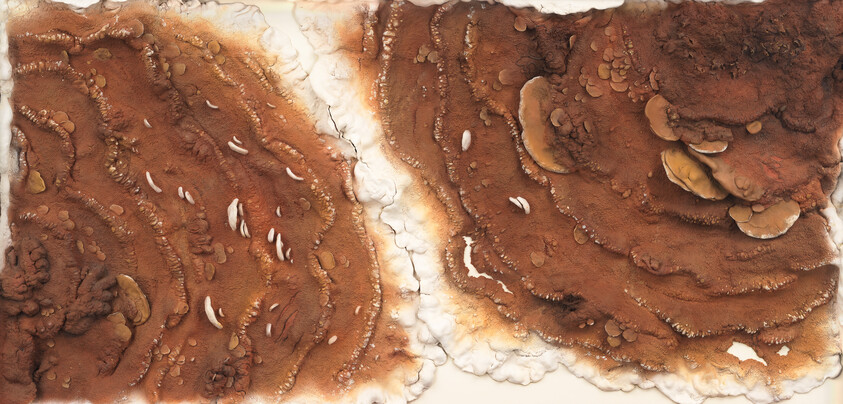 Brown layered abstract artwork with textured rings and white veins resembling eroded landscape.