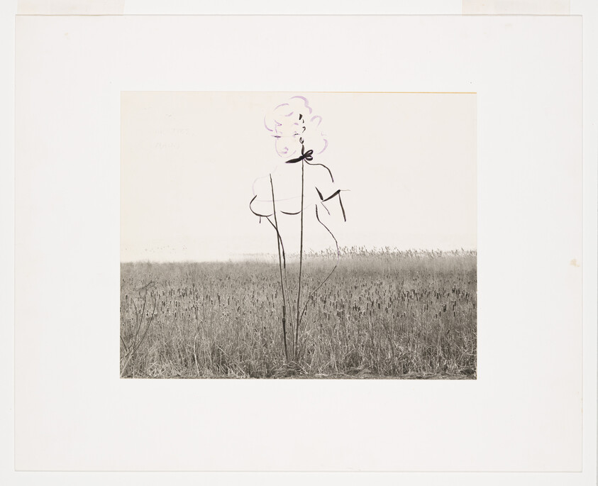 Tall grass field with a simple black line drawing of a woman’s torso and face overlaying the scene.