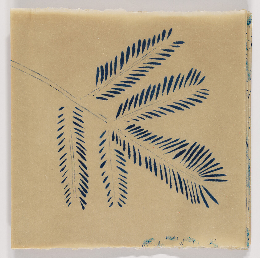 Blue fern-like leaf pattern printed on beige textured paper with torn edges.