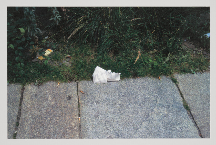 A crumpled white tissue lies on the grass at the edge of a concrete sidewalk.