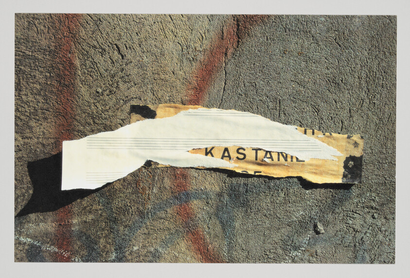 Torn strip of paper partly revealing the text "KASTANIE" stuck to a textured concrete wall.