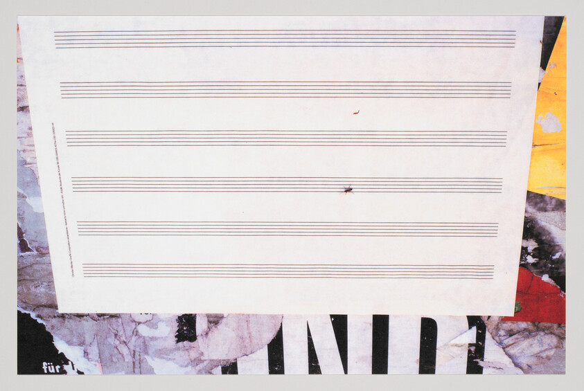 Blank sheet music with staff lines taped over torn posters, a small insect resting near center.