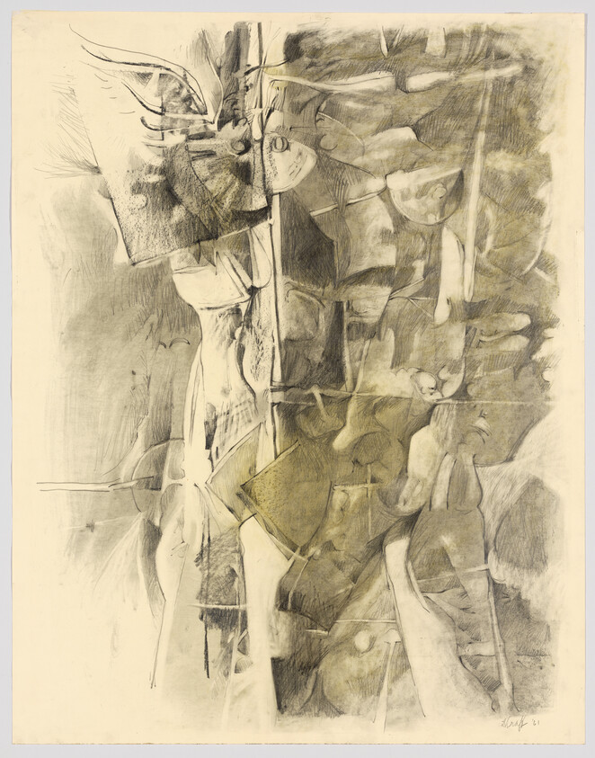 Abstract charcoal drawing of fragmented tree-like forms and curved organic shapes.