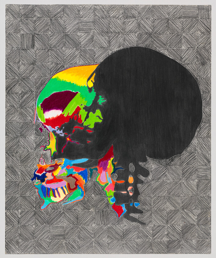 A colorful human skull silhouette with bright painted sections against a textured crosshatched background.