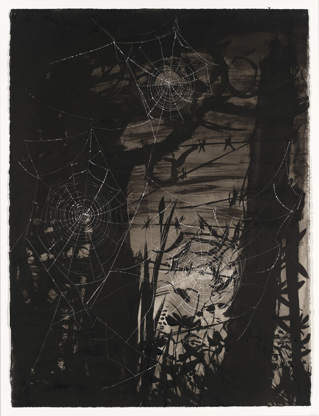 Several dew-covered spider webs glisten among silhouetted plants and tree trunks in a dark woodland.