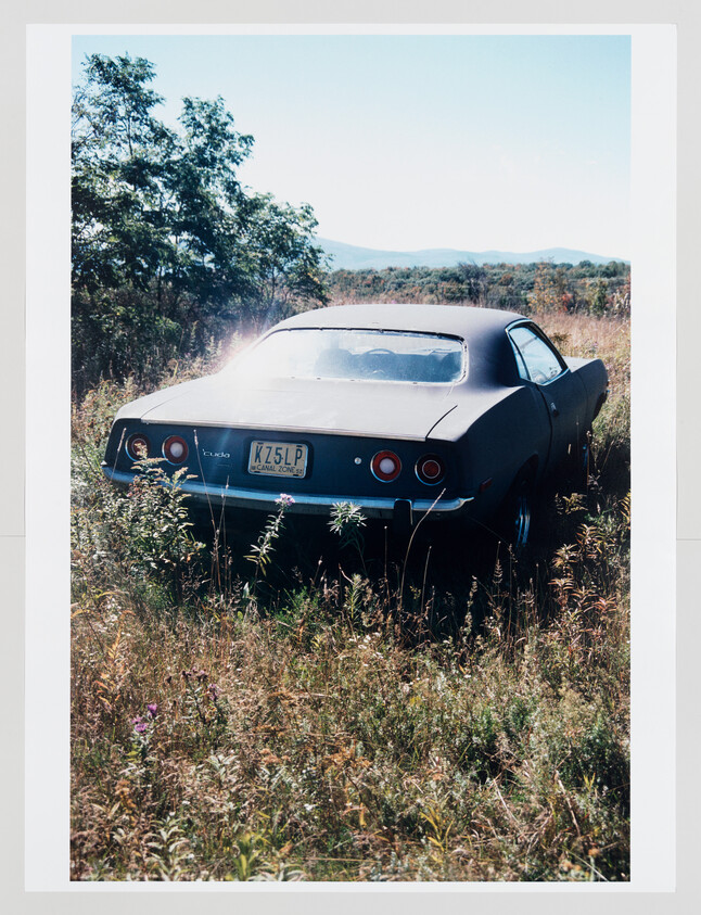 A vintage car parked in an overgrown field with sunlight reflecting off its rear window.