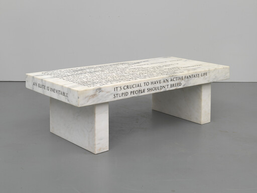 A marble bench engraved with provocative phrases about elites and the statement "stupid people shouldn't breed."