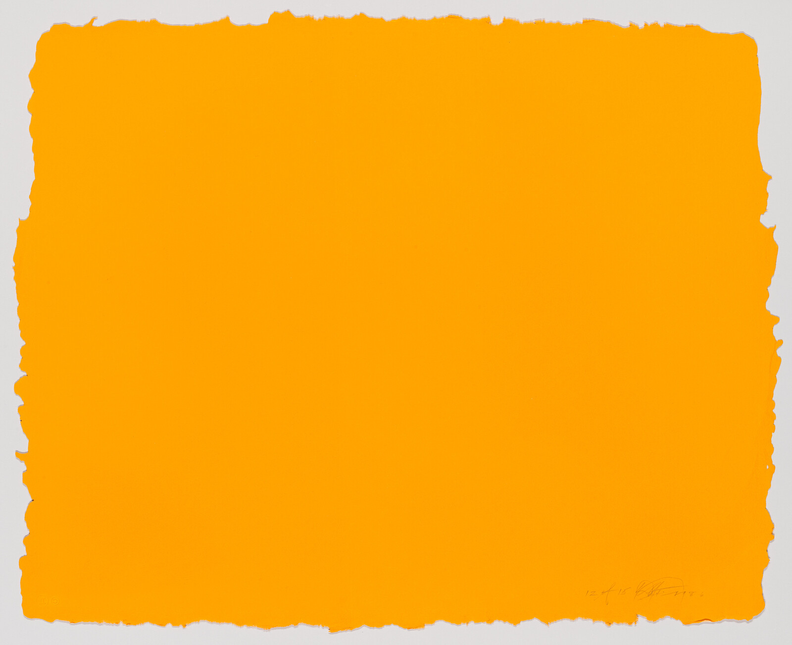Large bright orange rectangle with rough torn white edges centered on a white background.