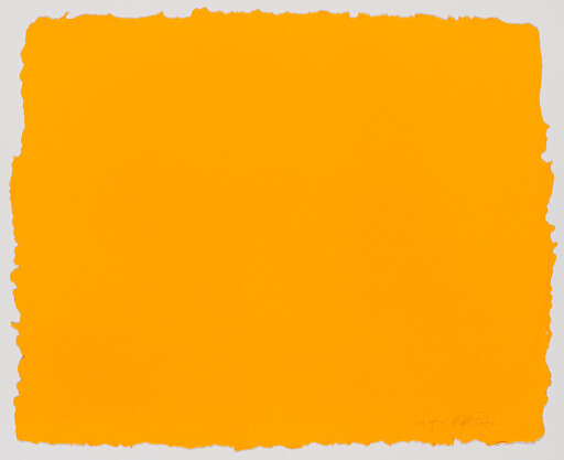 Large bright orange rectangle with rough torn white edges centered on a white background.