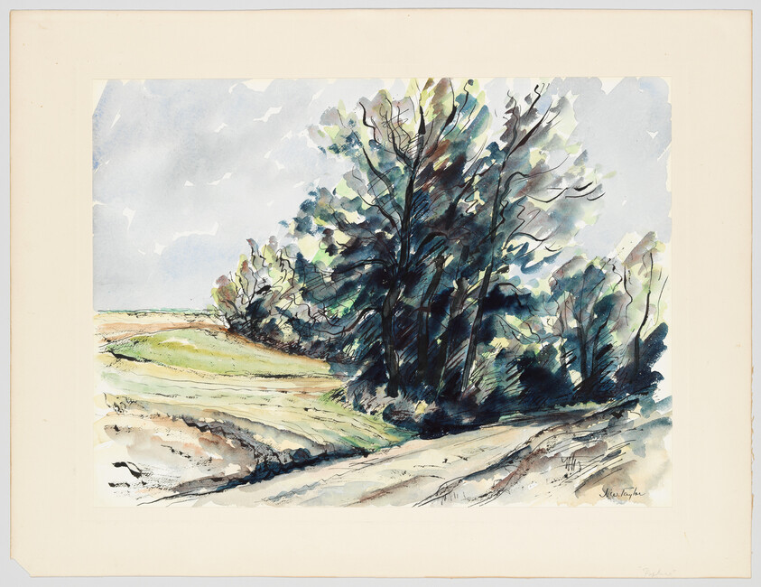 Tall trees cluster beside a winding dirt road with grassy fields under a cloudy sky.
