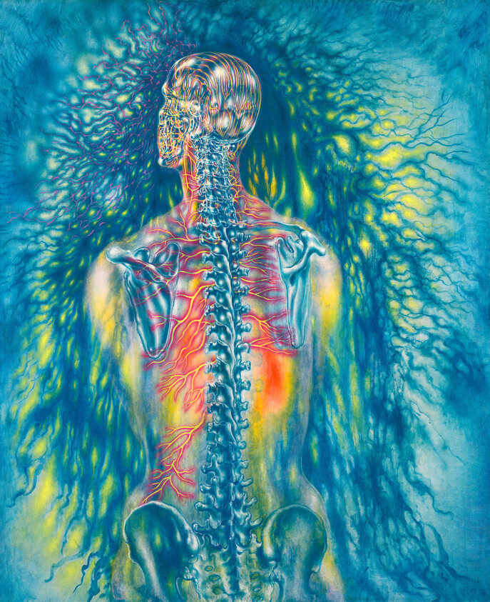 Human back and spine with glowing nerves radiating in blue, yellow, and red energy.