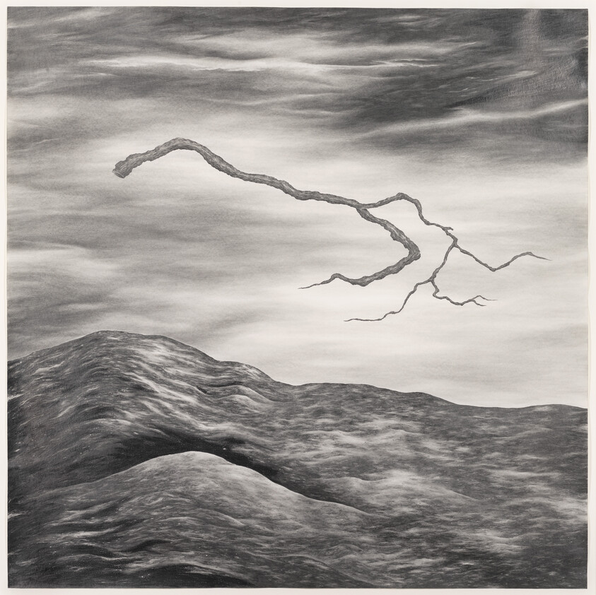 A twisted bare branch floats above dark, rolling hills under a streaked, cloudy sky.